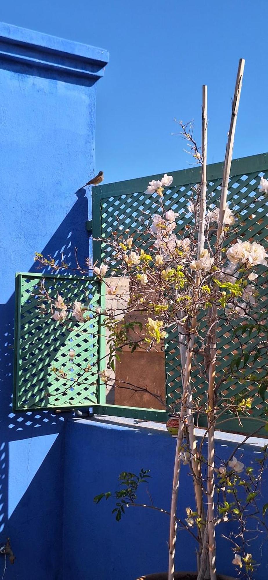 Riad Med Agora Marrakesh Exteriör bild