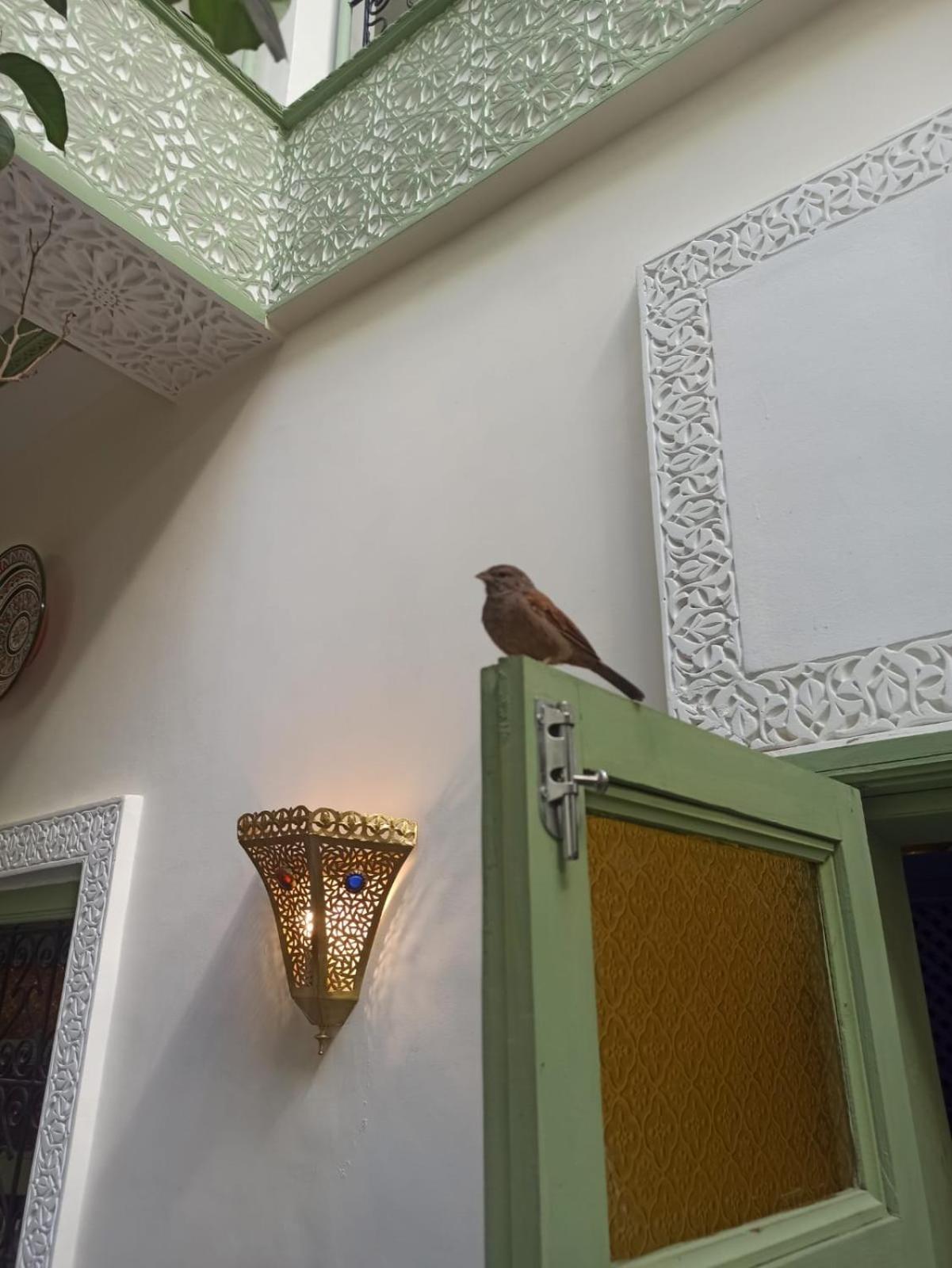 Riad Med Agora Marrakesh Exteriör bild